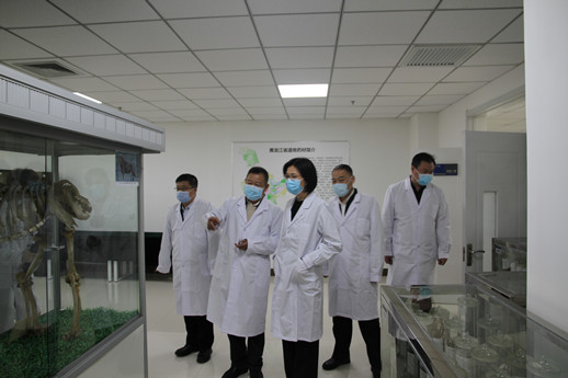 微信图片_20210312143519_副本.jpg 微信图片_20210312143519_副本.jpg